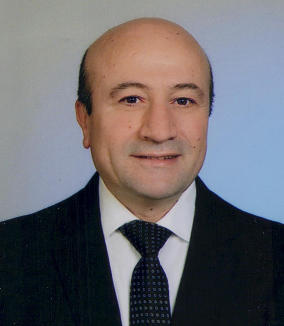 Dr. Öğr. Üyesi Arif Dolma